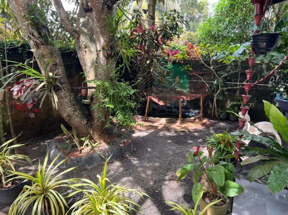 Hôtel Jungle Reef Rest à Mirissa Extérieur photo
